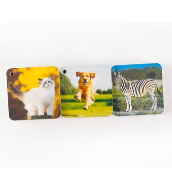 

English Animals Flashcards Word Card Early Learning Education Games Toys for Children Pocket Card Flash Cards Baby Gifts Kids