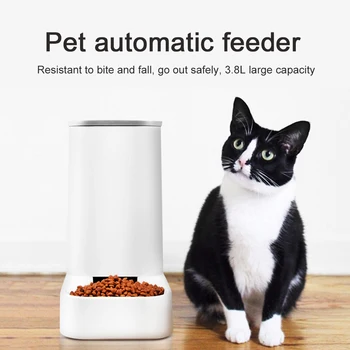 

Food Dispenser Large Capacity Pet Automatic Feeder Easy Clean Detachable Dogs Cats Water Station Gravity Home Portable PP