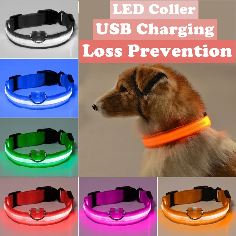 

Nylon LED Pet Dog Collar USB Charging Dog Safety Night Light Rechargeable Personalized Luminous Necklace For Cat Pet Accessories