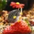 Wuli&baby Lovely Hold Flower Hedgehog Brooches Women 8-colors Animal Pet Party Office Причинная Брошь Булавки Подарки ёжик с ромашкой