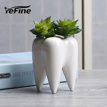 

YeFine Designer Teeth Shape Small Plant Pots Mini Succulent Planter Bonsai Pots Ceramic Nursery Pots Office Desk Decor