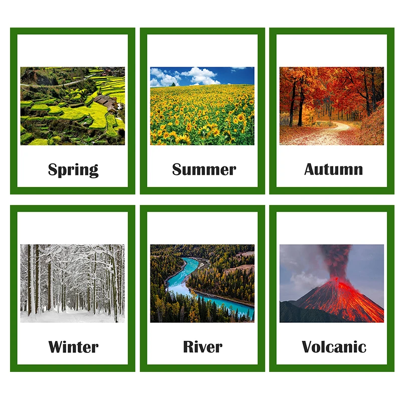 19PCS/set Nature/Season Learning English Flash Cards for Children