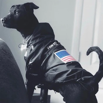 

Luxury Winter Small Dog Clothes For Small Large Dogs French Bulldog Clothes Clothing For Dogs Coat The Dog Face Jacket Chihuahua