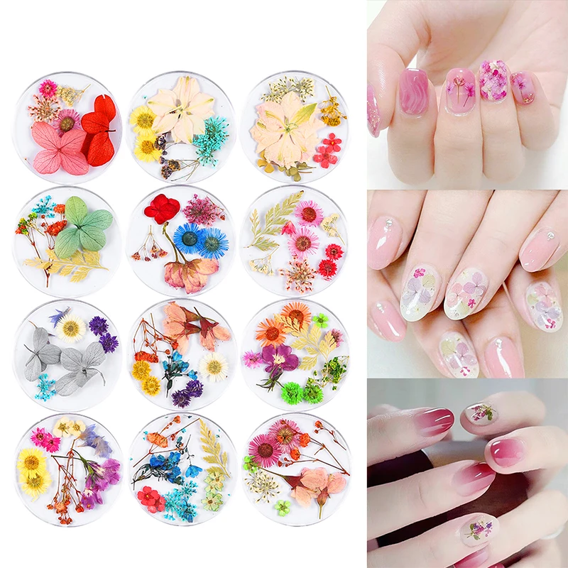 

1 box nail art dry flower mix color easy to wear Summer Fashion Real Preserved Floral Leaf for nail art decoration MZ185