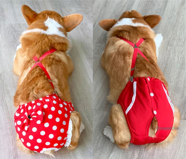 dog underwear for heat