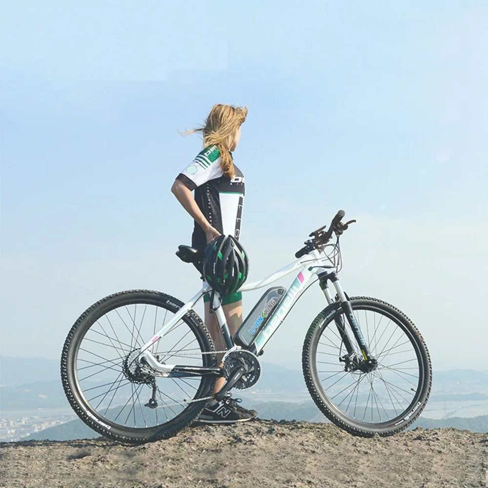 48 В 750W10AH таможенная пошлина литиевая батарея ebike литий-ионная батарея Электрический велосипед батарея Hailong с 2A Зарядное устройство USB провод
