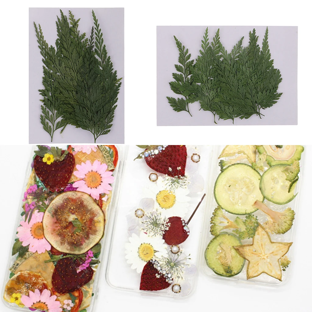 12pcs Pressed Dried Flowers Dry Fern Leaves for DIY Arts Craft Bookmark Card Natural Real Leaves for Scrapbooking Making Decor