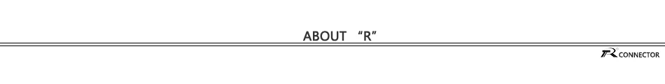 （4）about R