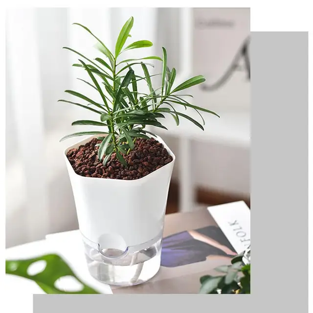 Innovatív Lusta Virág Edény Automatikus Vízelnyelő Virágcsepp Átlátszó Műanyag Önöntő Ültetvényes Növények Óvodai Hüvelyek - Image 6