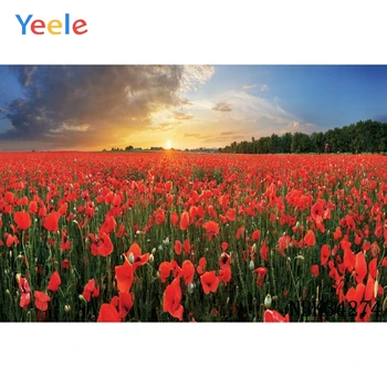 

Yeele Photography Background Floral Flowers Spring Blossom Garden Party Natural Scenic Photo Backdrop Photo Studio Photocall
