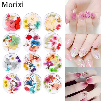 

1 box nail art dry flower 5pcs mixed size natural lace flower for 3D manicure French dried flowers nail art decorations MZ185
