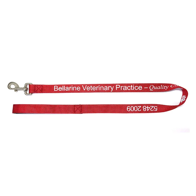 

Pet Running Hand Holding Rope Pet Supplies Multi-functional Buffer Dog Training Lanyard Free Design