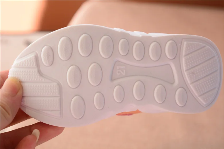 5593122656_1016882337