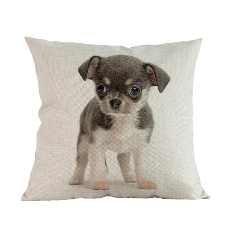 Cute-Puppy-Animal-Pet-Breed-Dogs-Dachshund-Corgi-Pomeranian-Shepherd-Labrador-Bulldog-Pillow-Case-Home-Shop.jpg_640x640 (13)