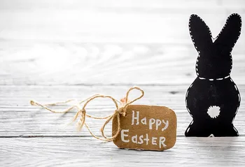 

Black bunny 2020 Easter backgrounds photography vinyl baby shower photo backdrop for photo Studio accessories fotografia LV-1663