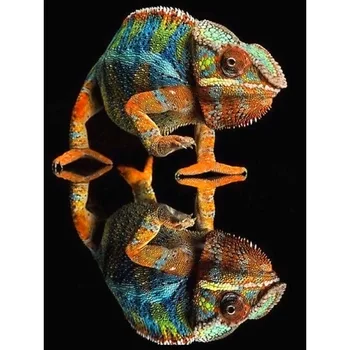 

Full Drill Reptiles Diamond Painting Chameleon Diamond Embroidery Inverted Image 5D DIY Manual Cross Stitch Home Decor F42
