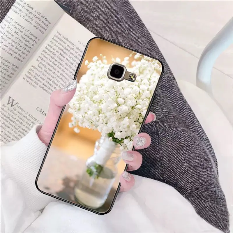 Beautiful flower Gypsophila