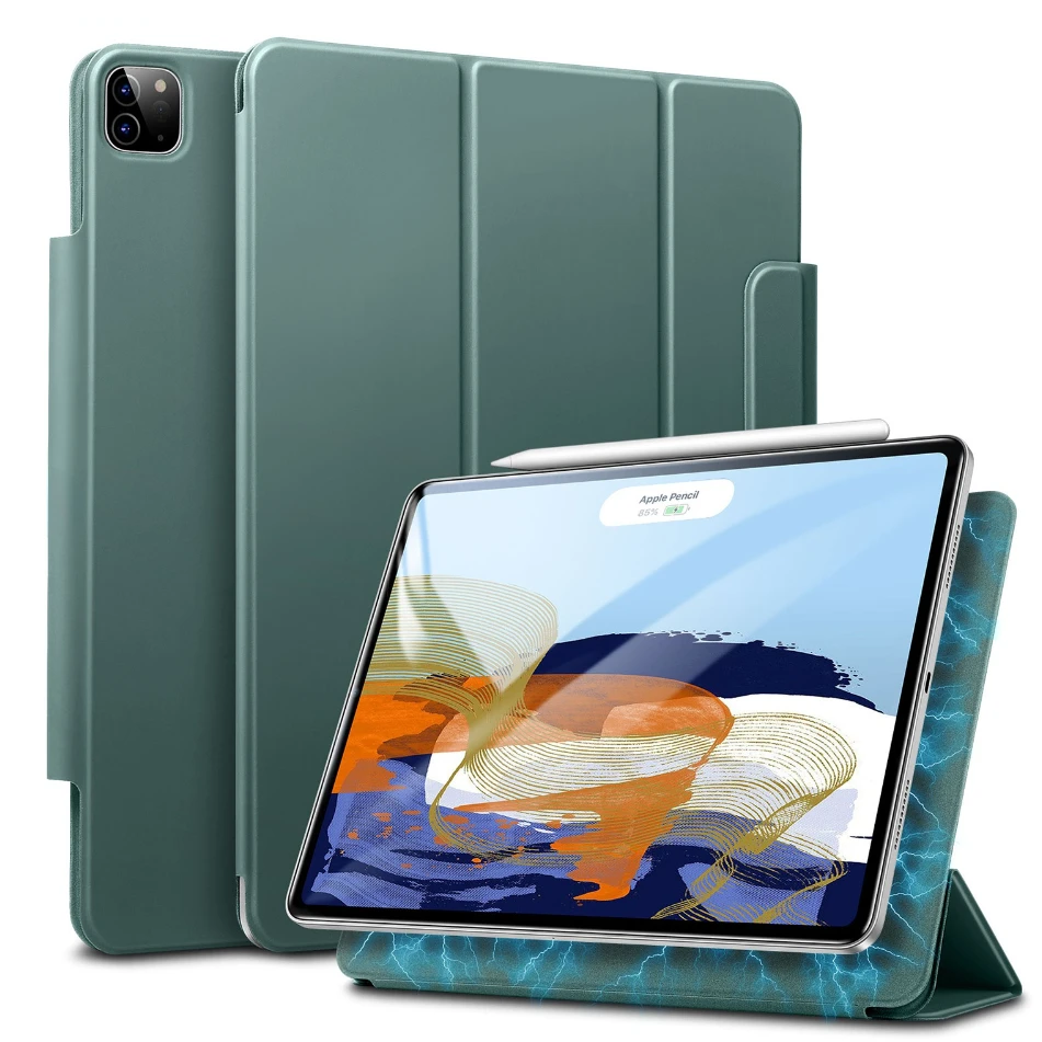 iPad Pro 12.9 5th gen 2021 A2378 A2461 A2379 PORTFOLIO