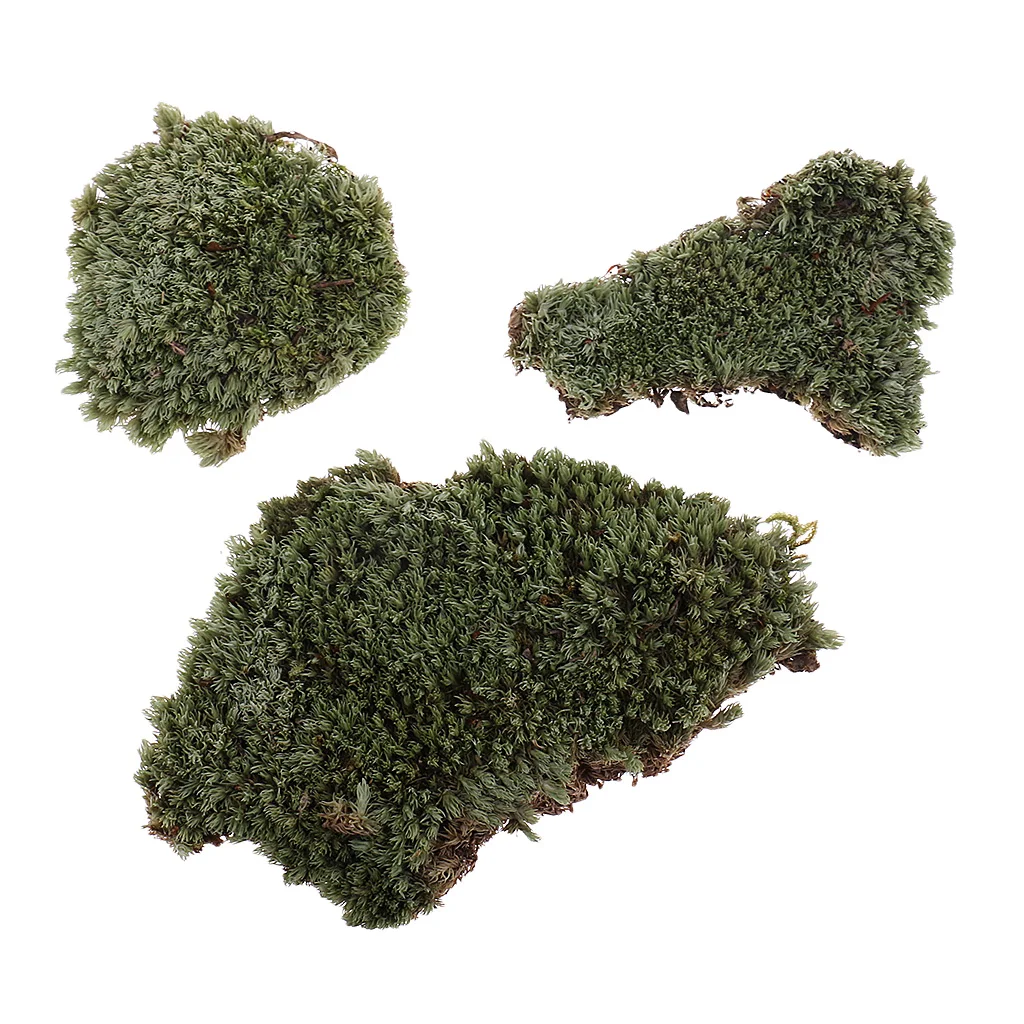 Greenery Scenery Moss Lichen Model for 1/35 Miliatry Sand Armor Building Toy