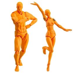 Articulated Artist Figure Model for Drawing and Sketching (C)