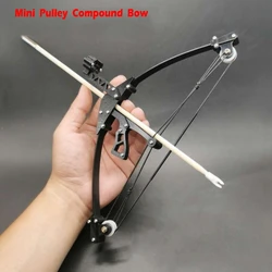 Ao ar livre mini arco composto com polia portátil destacável poderoso alvo tiro com arco e flecha brinquedos esportivos conjunto