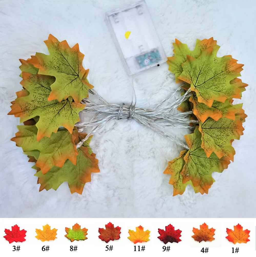 11677439911_1099349780 副本-0