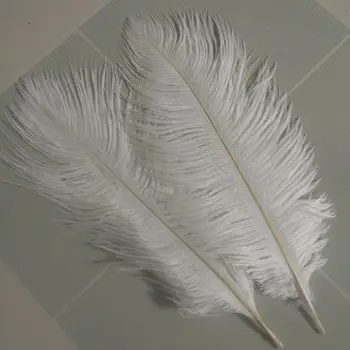 

Hot 10pcs High Quality White ostrich feathers 6-8 inches/15-20 cm for Wedding Party Decor Accessories Wedding Decoration