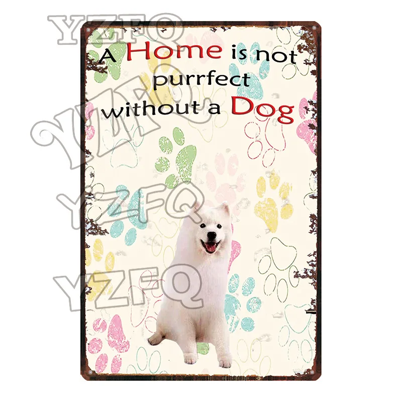 DC-5544 Домашний не Purrfect без собаки доска Металл Винтаж стены бар дома арт Pet Shop Ретро ремесленный декоративный 30X20 см DC-5531A - Цвет: DC-5544