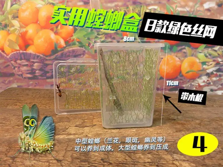 螳螂盒4号