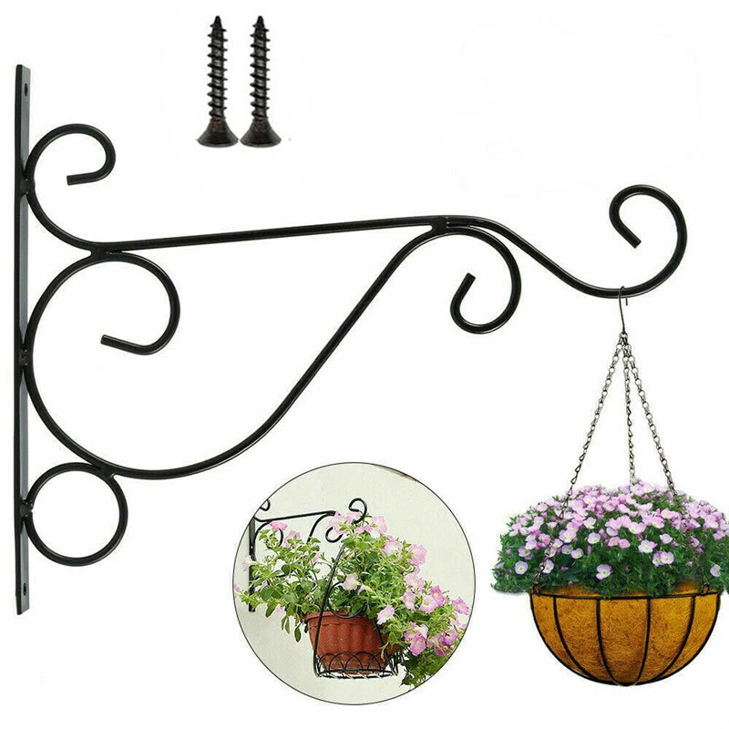 7 Strange Facts About Outdoor Wall Planters