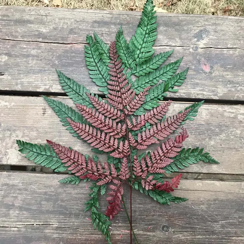 QQ图片20200210203241