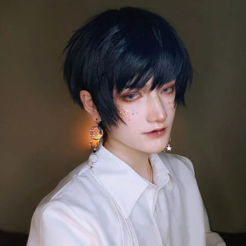 

HUAYA Ailiade Short Straight Brown Cosplay Wig Boy Synthetic Hair With Bangs For Men/ Male Halloween Anime Costume Wig