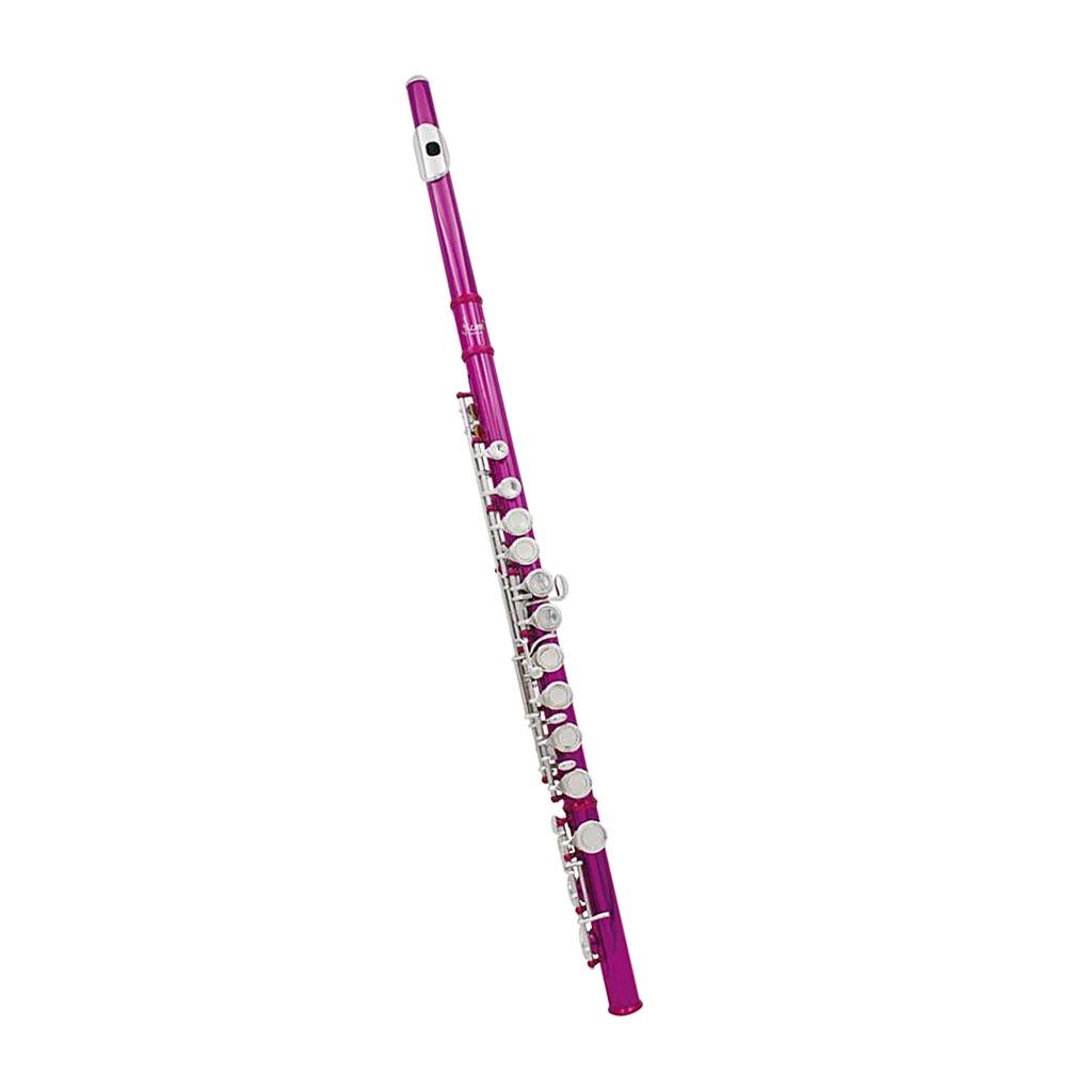 LADE 16 Closed Hole C Key Flute with Cleaning Cloth Stick Screwdriver Padded Box for Beginner Students Gift