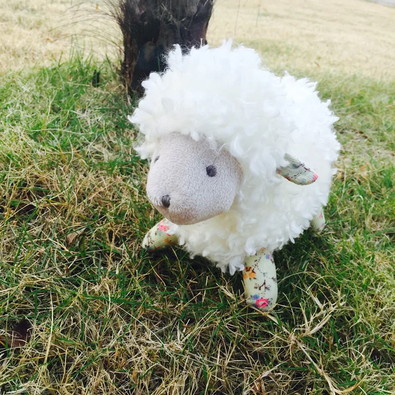 微信图片_20191216173835_副本