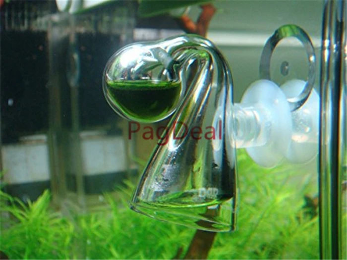 Glass CO2 Diffuser5