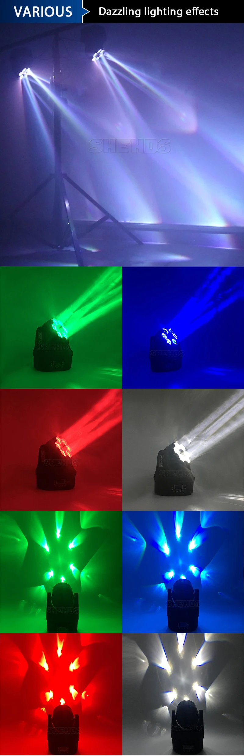 SHE-6颗小蜂眼_09