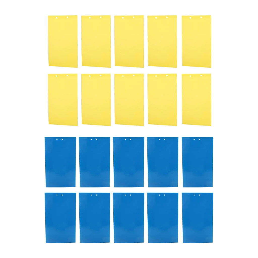 10PCS Sticky Trap Fruit Fly and Fungus Gnat Trap Killer Indoor and Outdoor, Protect Plants, Non-Toxic and Odorless