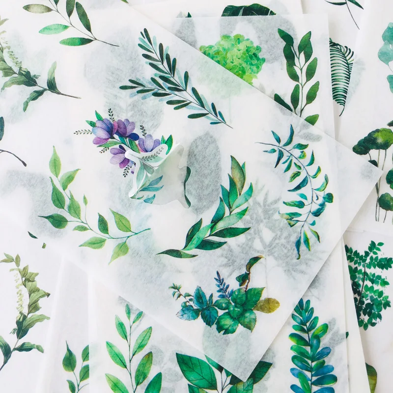 Рисунок 4 - 6 листов/упаковка