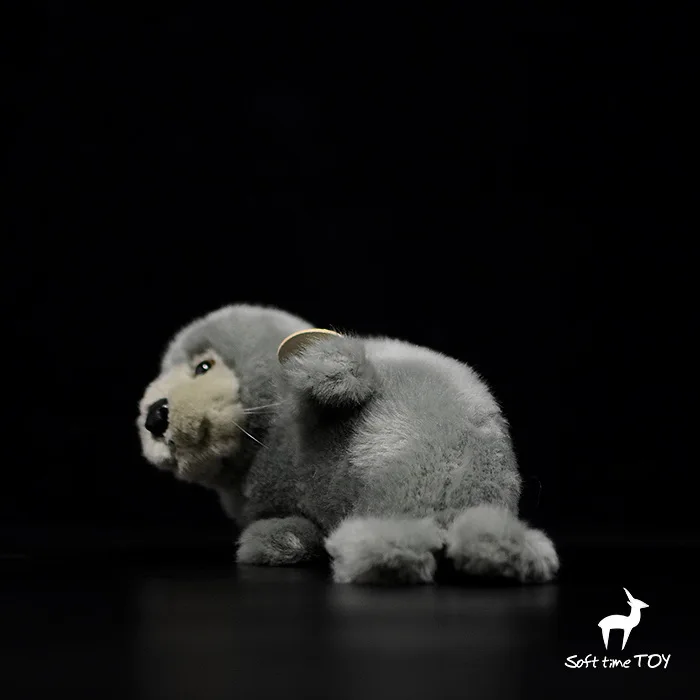 O1CN01L9O13m1DnZvk32fC1_!!22080261