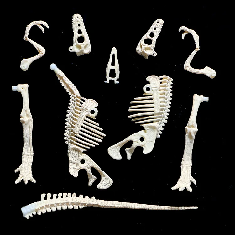 

Archeology Assembled Burst Swift And Violent Keel Frame Children'S Educational DIY Dinosaur Fossil Assembled Set Scientific And