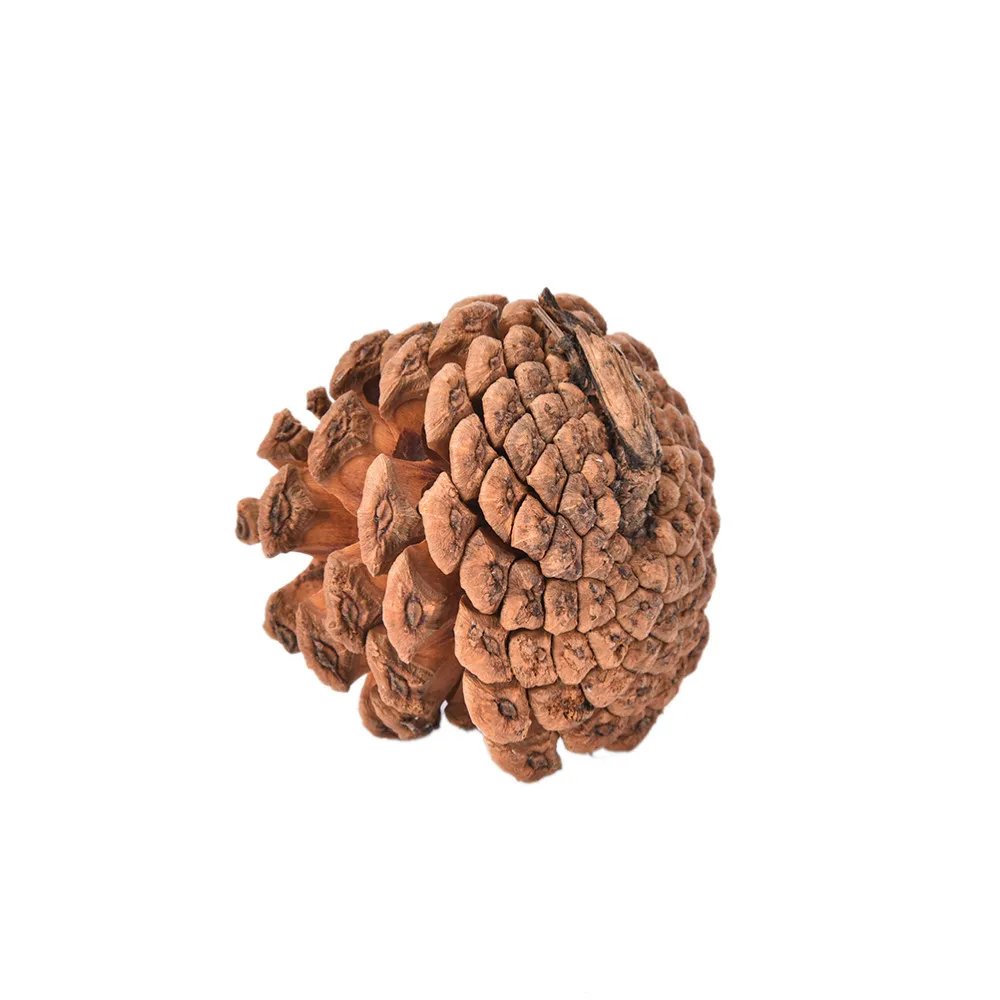 10pcs/Set Wood Pinecone Balls For Home Office Party Decoration Ornament Christmas Tree Hanging Pine Cones 2-3cm 4-5cm
