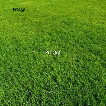 

Prodgf 50000Pcs A Set green golf grass