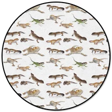 Круглый ковер ящерица рептилия кухонные коврики столовая гостиная пледы коврики для спальни Банкетный пикник для женщин тонкий коврик для девочек