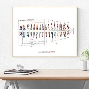 

Watercolor Teeth Medical Anatomy Poster Dentist Gift Clinic Wall Decor , Dental Anatomy Art Picture Canvas Painting Decoration