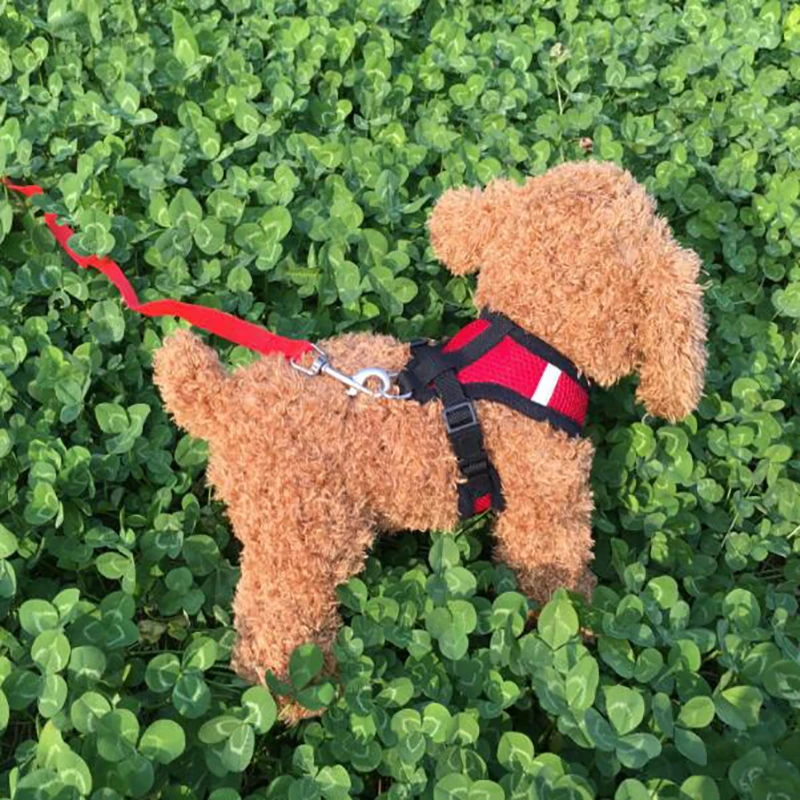 HTB1fq0rXojrK1RkHFNRq6ySvpXaC