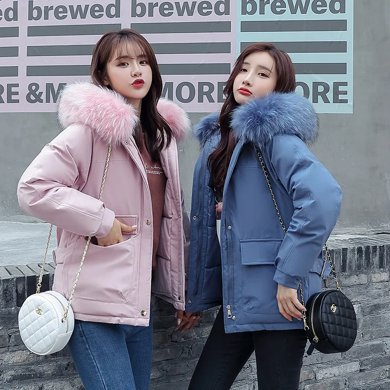 

2019 Winter New Style Cotton Coat Women's Short Korean-style Loose-Fit Best Friend-down Coat Thick Versatile Hooded Fashion Coat