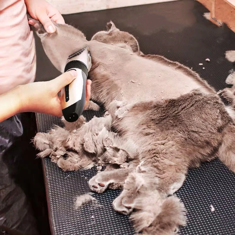 Professional Pet Dog Hair Trimmer Animal Grooming Clippers Cat Cutter Machine Shaver Electric Scissor Clipper Dog Shaving Set