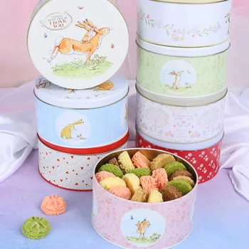 

New fashion cartoon tin storage box baking floral biscuit cake DIY cute children tin storage box gift dessert storage boxLB90128