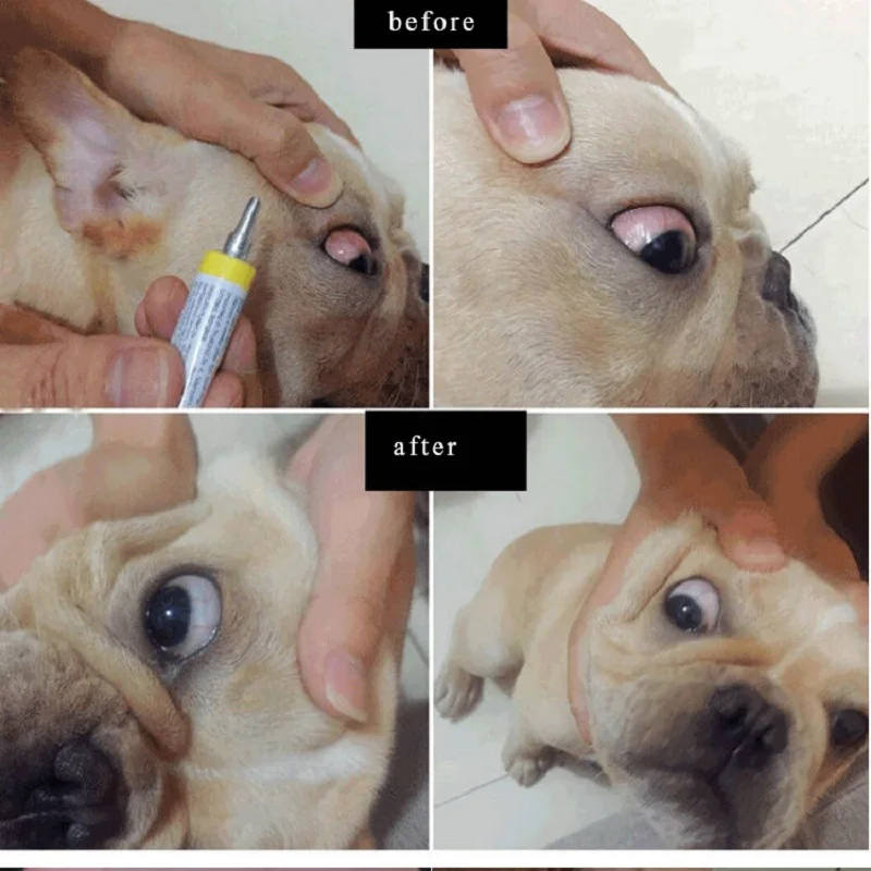 Pet Eyes Red Ulcer Eye Drops Pet Eye Ointment LittlePuppy