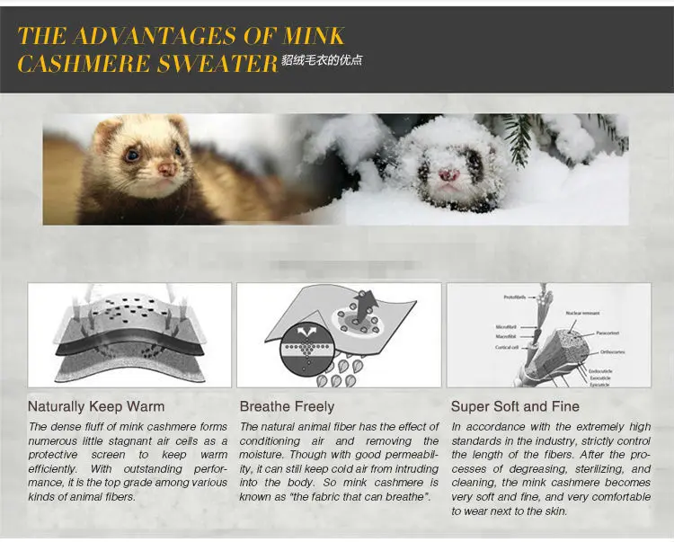 HTB1QecoThnaK1RjSZFBq6AW7VXal